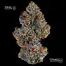 Patient Image of The Plug Medical Group T13 Zen Berry Medical Cannabis