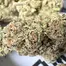 Patient Image of IPS BLU T26 Blunicorn Medical Cannabis