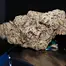 Patient Image of Good Supply Reserve CCC T27 Cherry Cheesecake Medical Cannabis