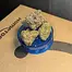Patient Image of Lot420™ ROR T26-T28 Ripped Off Runtz Medical Cannabis