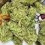 Patient Image of Therismos T20 Gorilla Glue #4 Medical Cannabis