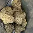 Patient Image of Next Friday BF T24 Blueberry Fuego Medical Cannabis