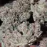 Patient Image of Mamedica® STG T27 Strawberry Grail Medical Cannabis
