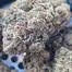 Patient Image of Cake & Caviar Organic CFC T27 Coffee Cake Medical Cannabis