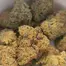 Patient Image of Craft Botanics® GGA T32 GMO Grape Ape Medical Cannabis