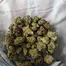 Patient Image of LIT™ MK Smalls T30 Master Kush Medical Cannabis