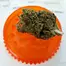 Patient Image of Noidecs MVA T20:C4 Kosher Kush Medical Cannabis