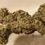 Patient Image of Australian Natural Therapeutics Group Rocky T26 El Jefe Medical Cannabis