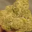 Patient Image of Origine Nature GG T26 Golden Gauth Medical Cannabis