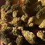 Patient Image of Therismos Access MSK T22 Miss Kim Medical Cannabis