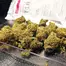 Patient Image of Noidecs T18 Peyote Critical Medical Cannabis