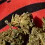 Patient Image of Upstate® BTR T24 Black Triangle Medical Cannabis