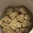 Patient Image of Craft Botanics® GGP T27 Georgia Pie Medical Cannabis