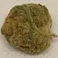 Patient Image of Sundaze® BB T30-T31 Bruce Banner Medical Cannabis