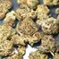 Patient Image of Greyscales SC T27 Strawberry Cough Medical Cannabis