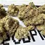 Patient Image of Green Joÿ MFL T26 Mango Fuel Medical Cannabis