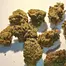 Patient Image of IPS SCP T21 Sherb Cream Pie Medical Cannabis