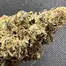 Patient Image of Mystery Mountain™ TBG MNG T8:C10 The Big Mango Medical Cannabis