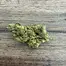 Patient Image of PharmaServ CJ T22 Chemmy Jones Medical Cannabis