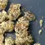 Patient Image of Greyscales SC T27 Strawberry Cough Medical Cannabis