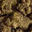 Patient Image of Vasco BB Smalls T28 Blueberry Banana Medical Cannabis