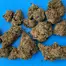 Patient Image of Four BRB T28 Big Red Beard Medical Cannabis