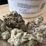 Patient Image of Craft Botanics® SBF T27 Superboof Medical Cannabis