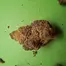 Patient Image of 4C Labs Craft BDD T26 Banana Daddy Medical Cannabis