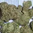 Patient Image of IPS CM T28 Cherry Mints Medical Cannabis