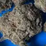 Patient Image of Four BRB T28 Big Red Beard Medical Cannabis