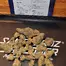 Patient Image of Mamedica® CJ T30 Cap Junky Medical Cannabis