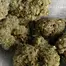 Patient Image of Upstate® CDR T22 Cinderella 99 Medical Cannabis