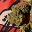 Patient Image of Upstate® BTR T24 Black Triangle Medical Cannabis