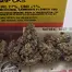Patient Image of Superseed GRP CKS T27 Grape Cookies Medical Cannabis