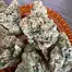 Patient Image of Scoops PG-M Smalls T21 Platinum Gushers Medical Cannabis