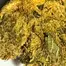 Patient Image of Lumir® KSC T26 Kush Cookies Medical Cannabis