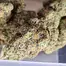 Patient Image of Next Friday BF T24 Blueberry Fuego Medical Cannabis