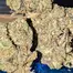 Patient Image of Papers™ AFC T28 Animal Face Cookies Medical Cannabis