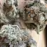 Patient Image of Upstate® SS T24 Scoops Medical Cannabis