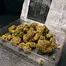 Patient Image of Green Karat MG T27 Modified Gas Medical Cannabis