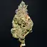 Patient Image of Noidecs T17 Shishkaberry Medical Cannabis