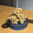 Patient Image of CannFX RP T27 Rainbow Pie Medical Cannabis