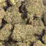 Patient Image of Scoops GCR Smalls T27 Gas Cream Cake Medical Cannabis