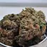 Patient Image of Kasa Verde FC T32 Fight Club Medical Cannabis