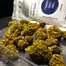 Patient Image of ECS Pharma Calm T8:C9 Batha Balanced Medical Cannabis