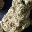Patient Image of 4C Labs DBG T21 Donny Burger Medical Cannabis