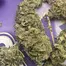 Patient Image of Curo® GWH Smalls T18 Ghost Wreck Haze Medical Cannabis