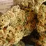 Patient Image of Upstate® CJK T30 Cap Junky Medical Cannabis