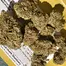 Patient Image of Tofino Ripper™ BC Craft LSO ELC LMN T21 Electric Lemon Medical Cannabis