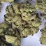 Patient Image of Redecan BC T25 Beach Crasher Medical Cannabis